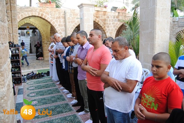 mahmoduia 3eed 808 (28).JPG